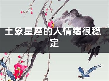 土象星座的人情绪很稳定
