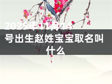 2025年11月14号出生赵姓宝宝取名叫什么
