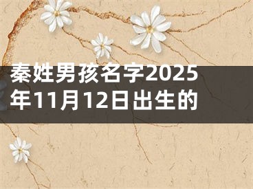 秦姓男孩名字2025年11月12日出生的