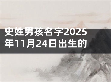 史姓男孩名字2025年11月24日出生的