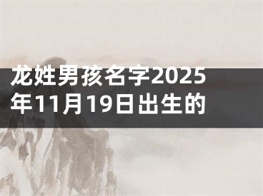 龙姓男孩名字2025年11月19日出生的