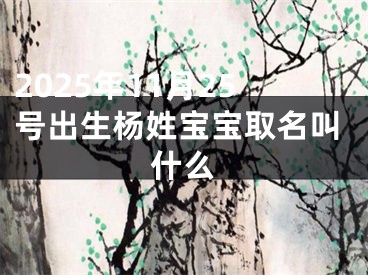 2025年11月25号出生杨姓宝宝取名叫什么