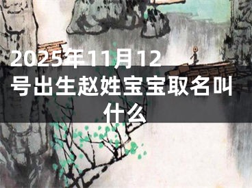 2025年11月12号出生赵姓宝宝取名叫什么