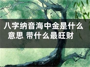 八字纳音海中金是什么意思 带什么最旺财