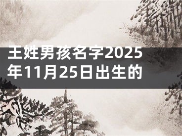 王姓男孩名字2025年11月25日出生的