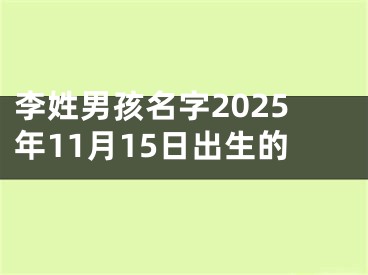 李姓男孩名字2025年11月15日出生的