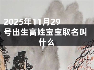 2025年11月29号出生高姓宝宝取名叫什么