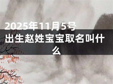 2025年11月5号出生赵姓宝宝取名叫什么