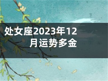 处女座2023年12月运势多金
