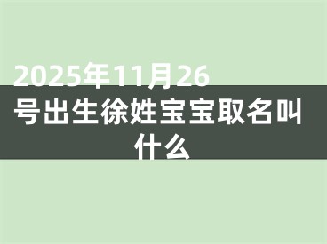 2025年11月26号出生徐姓宝宝取名叫什么