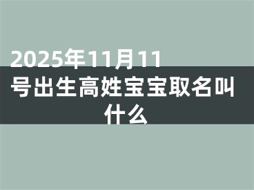 2025年11月11号出生高姓宝宝取名叫什么