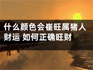 什么颜色会崔旺属猪人财运 如何正确旺财 