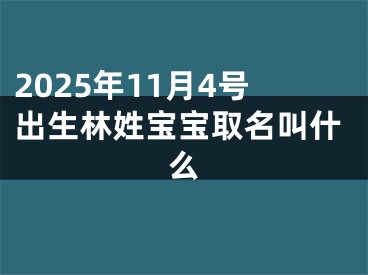 2025年11月4号出生林姓宝宝取名叫什么