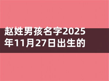 赵姓男孩名字2025年11月27日出生的