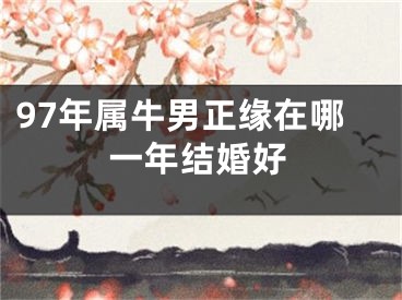97年属牛男正缘在哪一年结婚好