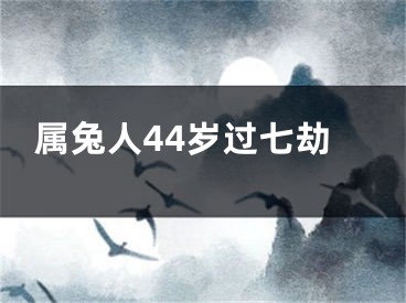 属兔人44岁过七劫