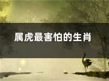 属虎最害怕的生肖