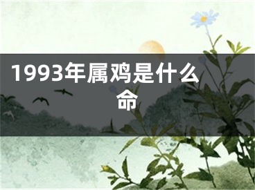 1993年属鸡是什么命