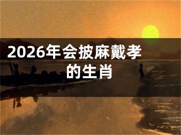 2026年会披麻戴孝的生肖
