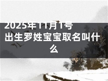 2025年11月1号出生罗姓宝宝取名叫什么