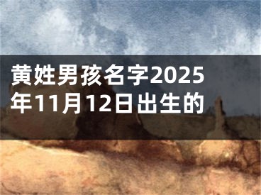 黄姓男孩名字2025年11月12日出生的
