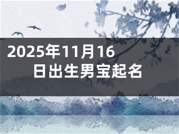 2025年11月16日出生男宝起名