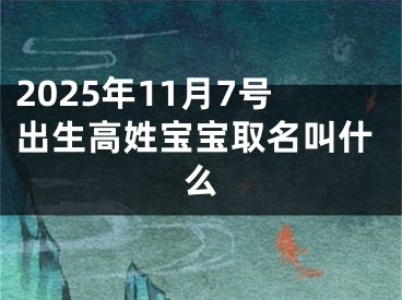 2025年11月7号出生高姓宝宝取名叫什么