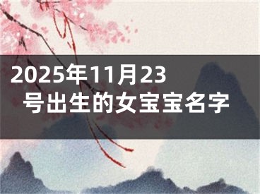 2025年11月23号出生的女宝宝名字
