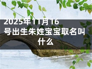 2025年11月16号出生朱姓宝宝取名叫什么