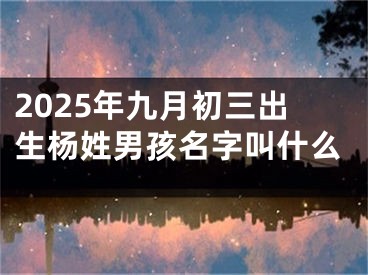 2025年九月初三出生杨姓男孩名字叫什么