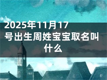 2025年11月17号出生周姓宝宝取名叫什么