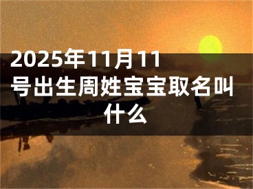 2025年11月11号出生周姓宝宝取名叫什么
