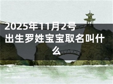 2025年11月2号出生罗姓宝宝取名叫什么