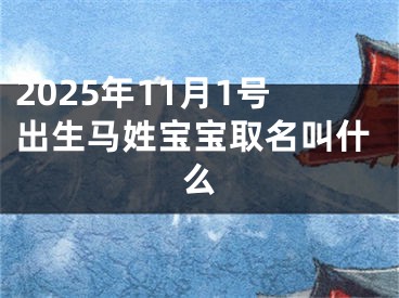 2025年11月1号出生马姓宝宝取名叫什么