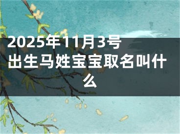 2025年11月3号出生马姓宝宝取名叫什么