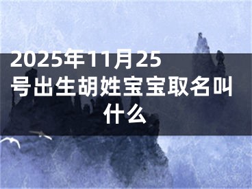 2025年11月25号出生胡姓宝宝取名叫什么