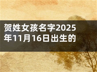 贺姓女孩名字2025年11月16日出生的