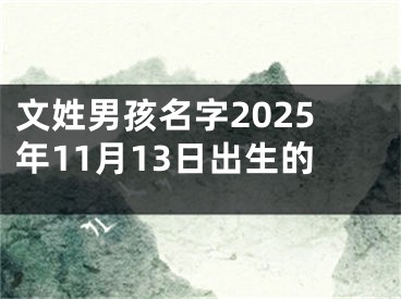 文姓男孩名字2025年11月13日出生的