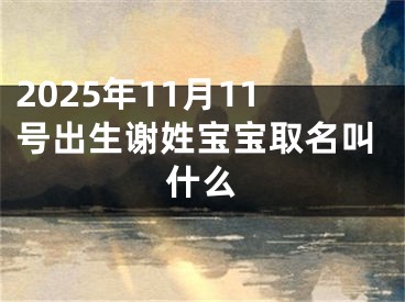 2025年11月11号出生谢姓宝宝取名叫什么