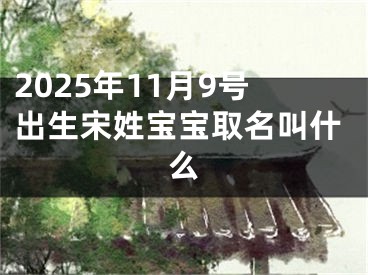 2025年11月9号出生宋姓宝宝取名叫什么