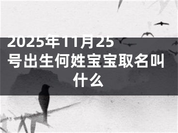 2025年11月25号出生何姓宝宝取名叫什么
