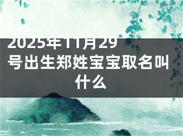 2025年11月29号出生郑姓宝宝取名叫什么