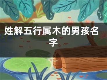 姓解五行属木的男孩名字