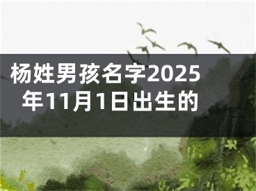 杨姓男孩名字2025年11月1日出生的
