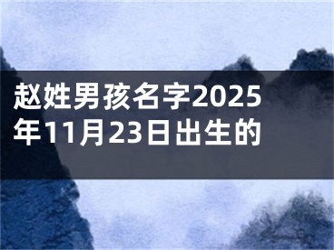 赵姓男孩名字2025年11月23日出生的