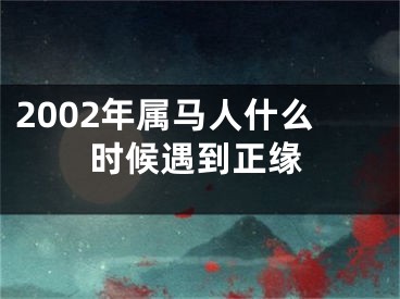 2002年属马人什么时候遇到正缘