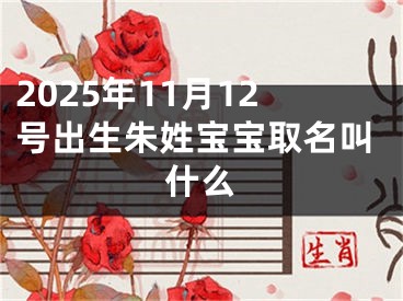 2025年11月12号出生朱姓宝宝取名叫什么
