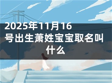 2025年11月16号出生萧姓宝宝取名叫什么