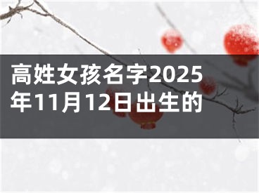 高姓女孩名字2025年11月12日出生的