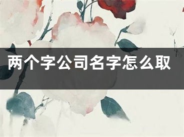 两个字公司名字怎么取
